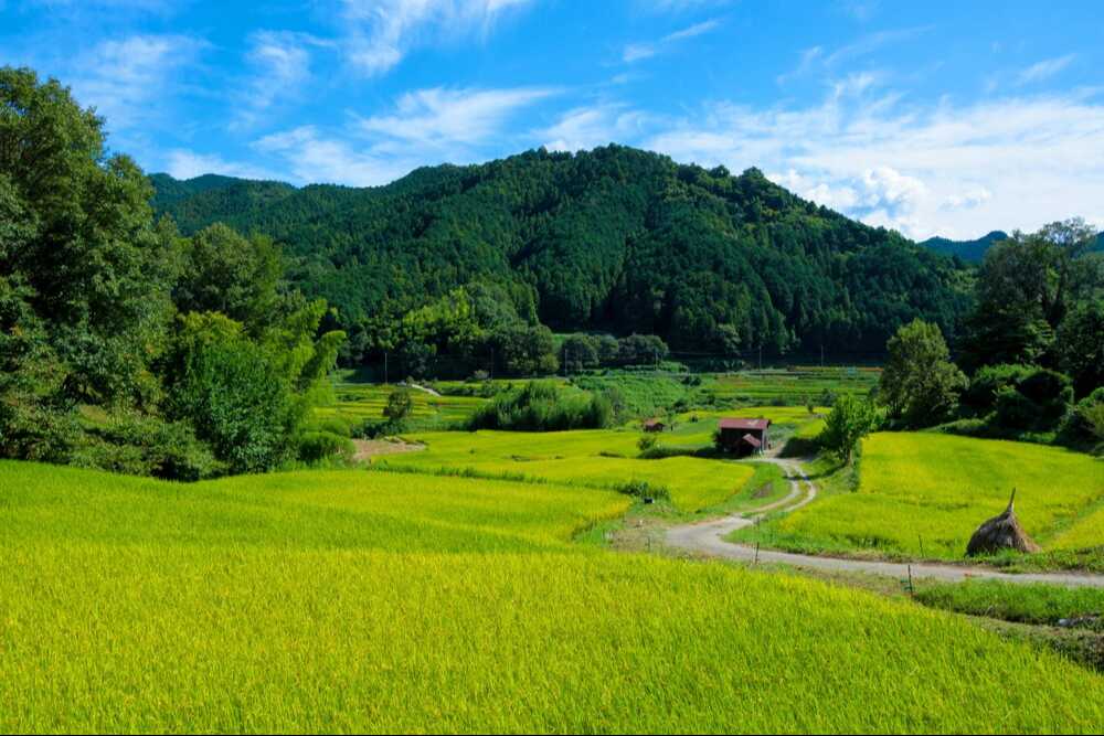 明日香村