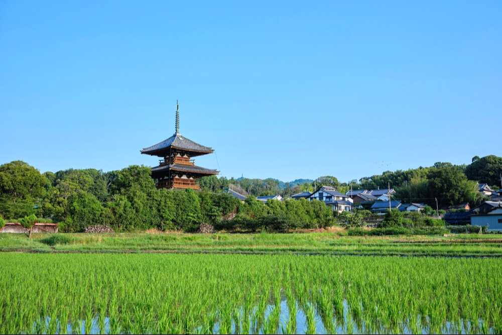 法起寺の三重塔と田園