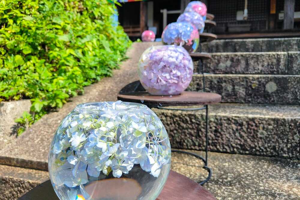 般若寺アジサイガラスボール