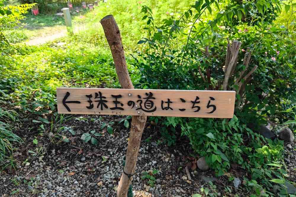 般若寺アジサイガラスボール