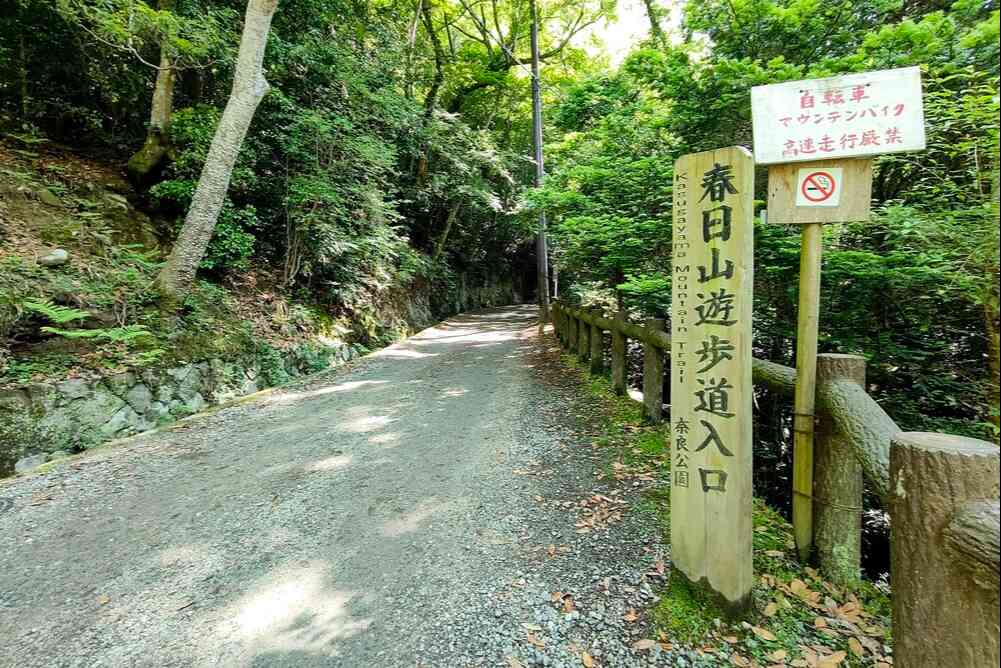 春日山原始林