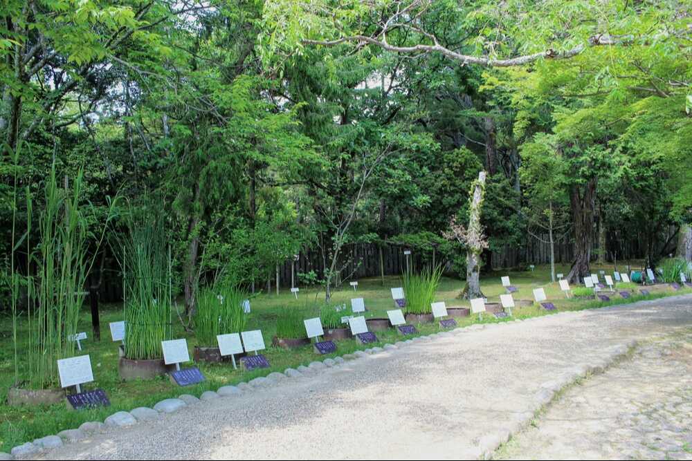 萬葉植物園