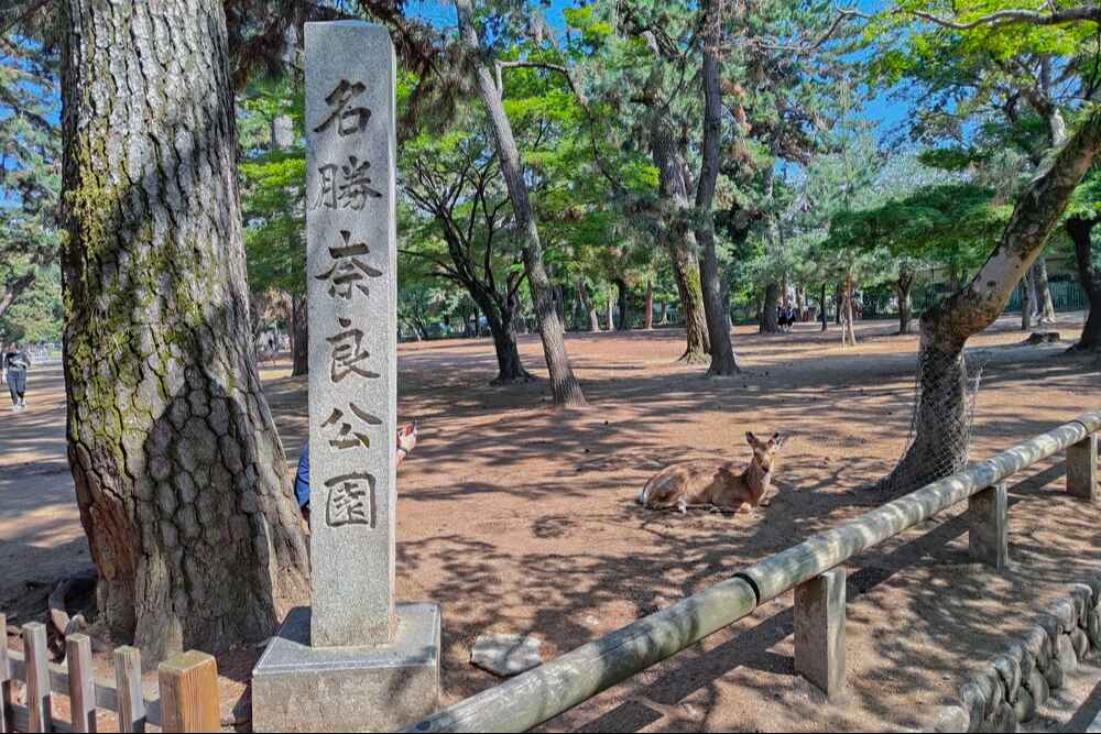 奈良公園石碑