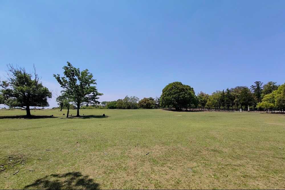 飛火野